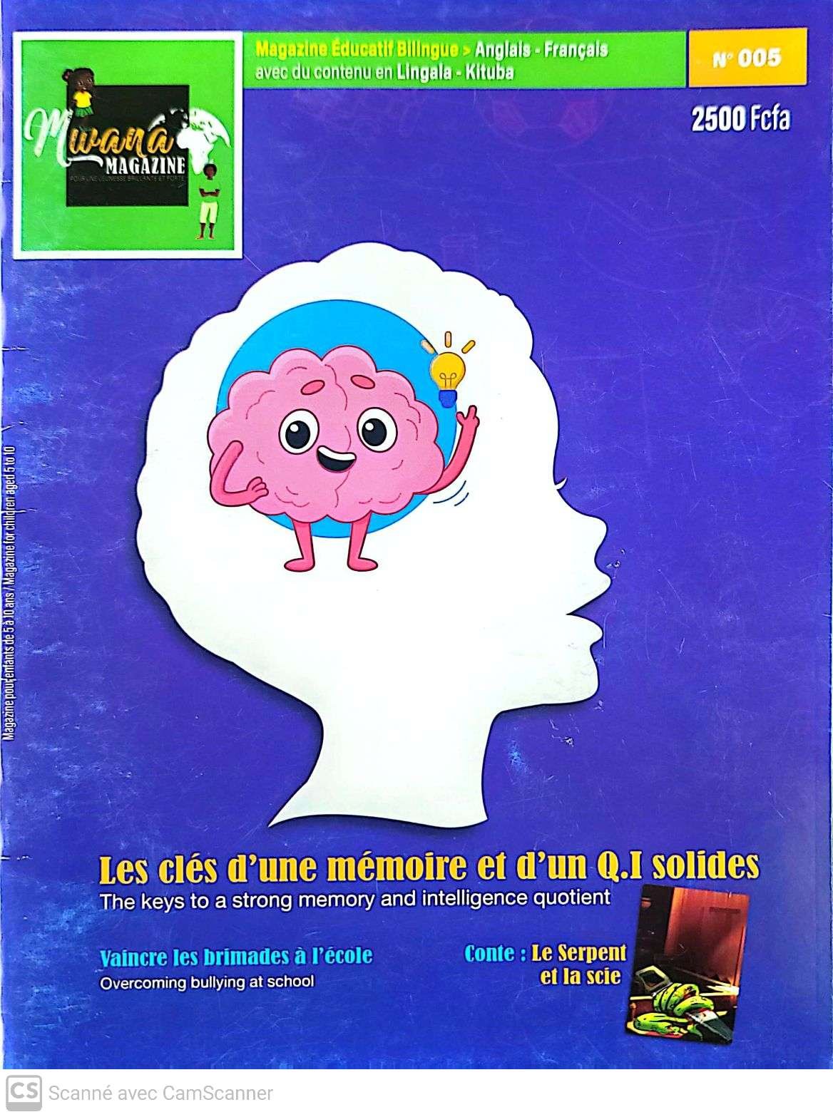 Les clés d'une mémoire et d'un Q.I solides 